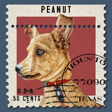 Hund auf Briefmarke