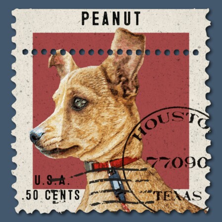 Briefmarke Hund Hund auf Briefmarke
